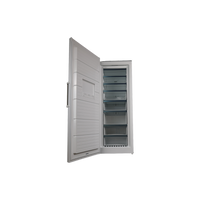 Congélateur Armoire 366 L Reconditionné SIEMENS GS58NAWEV : vue de l'intérieur