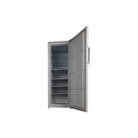 Congélateur Armoire 256 L Reconditionné BEKO RFNE290L41WN : vue de l'intérieur