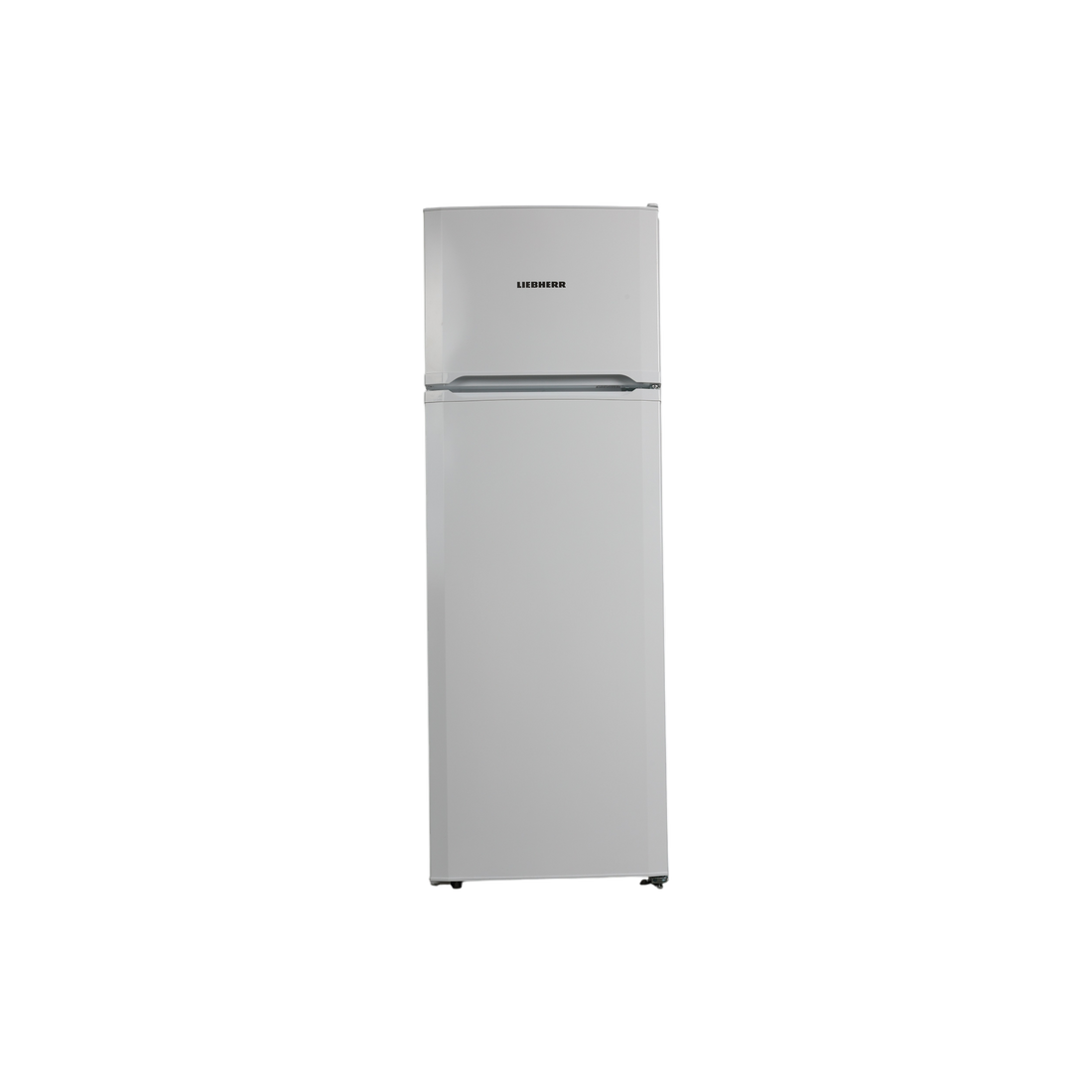 Réfrigérateur Avec Congélateur 271 L Reconditionné LIEBHERR GKPE415-26 : vue de face
