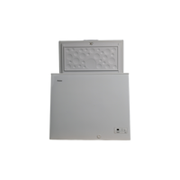 Congélateur Coffre 203 L Reconditionné HAIER HCE203R : vue de l'intérieur