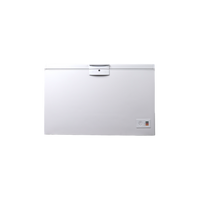Congélateur Coffre 284 L Reconditionné BEKO HSM27050 : vue de face