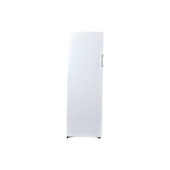 Congélateur Armoire 194 L Reconditionné ESSENTIEL B ECAV170-55HIB3 : vue de face