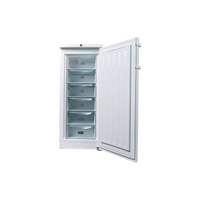 Congélateur Armoire 190 L Reconditionné LIEBHERR GP 2433 : vue de l'intérieur