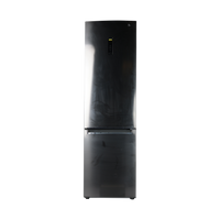 Réfrigérateur Avec Congélateur 384 L Reconditionné LG GBB72PZUEN : vue de face