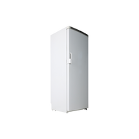 Congélateur Armoire 207 L Reconditionné SIEMENS GS30U421/04 : vue du côté gauche