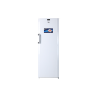 Congélateur Armoire 244 L Reconditionné BEKO FS127940N : vue de face