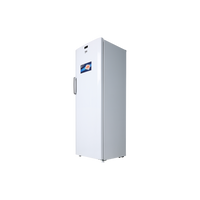 Congélateur Armoire 244 L Reconditionné BEKO FS127940N : vue du côté droit