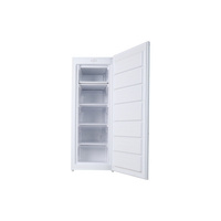Congélateur Armoire 168 L Reconditionné PROLINE UFZ167 : vue de l'intérieur