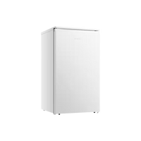 Réfrigérateur Compact 82 L Reconditionné SEVERIN TKS8845 : vue de face