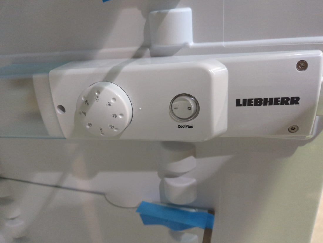 Réfrigérateur Avec Congélateur 270 L Reconditionné LIEBHERR CTPEL 251