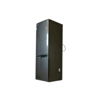 Réfrigérateur Avec Congélateur 341 L Reconditionné LG GBP31DSLZN : détails